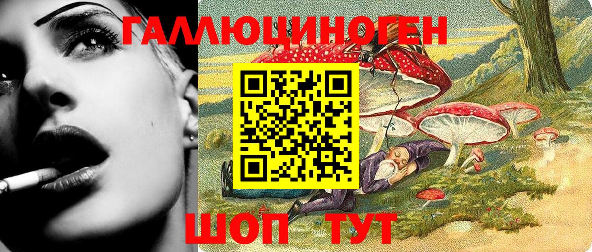Псилоцибиновые грибы GOLDEN TEACHER Тосно