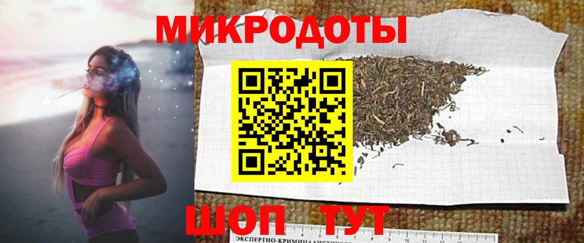 Тосно  Псилоцибиновые грибы Cubensis  Вход с VPN 